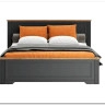 Кровать с подъемным механизмом Жасмин LOZ160x200 (Графит/Дуб артизан) BRW 